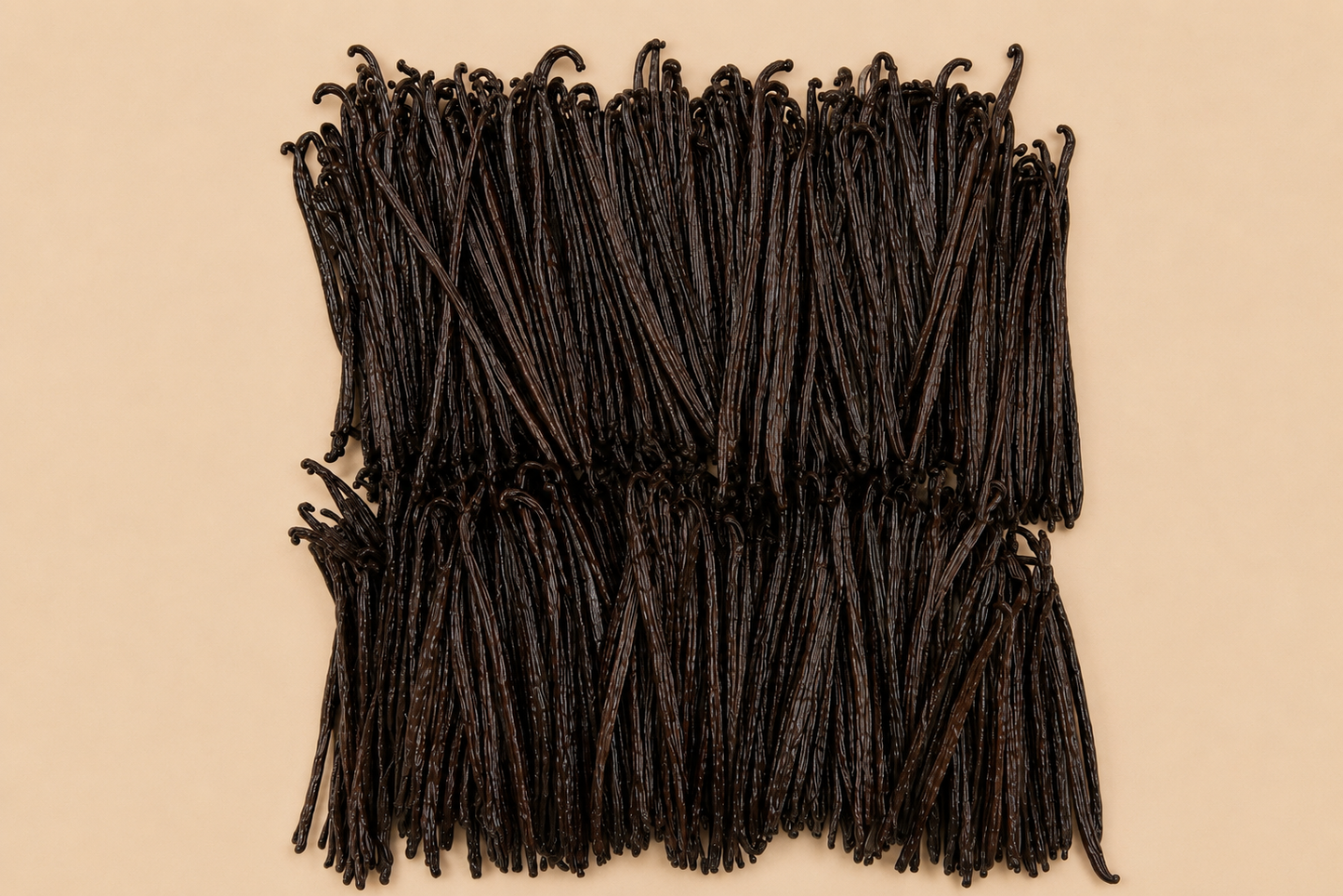 Vanille Gourmet 20cm - 1kg