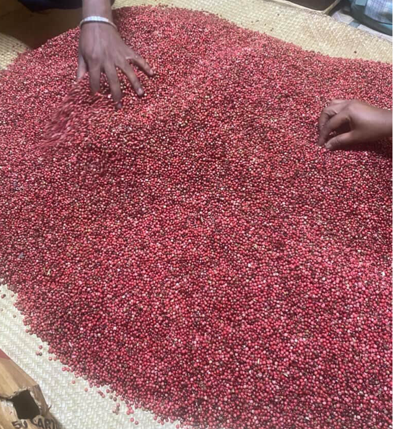 Baie rose Qualité gourmet de Madagascar - 100g