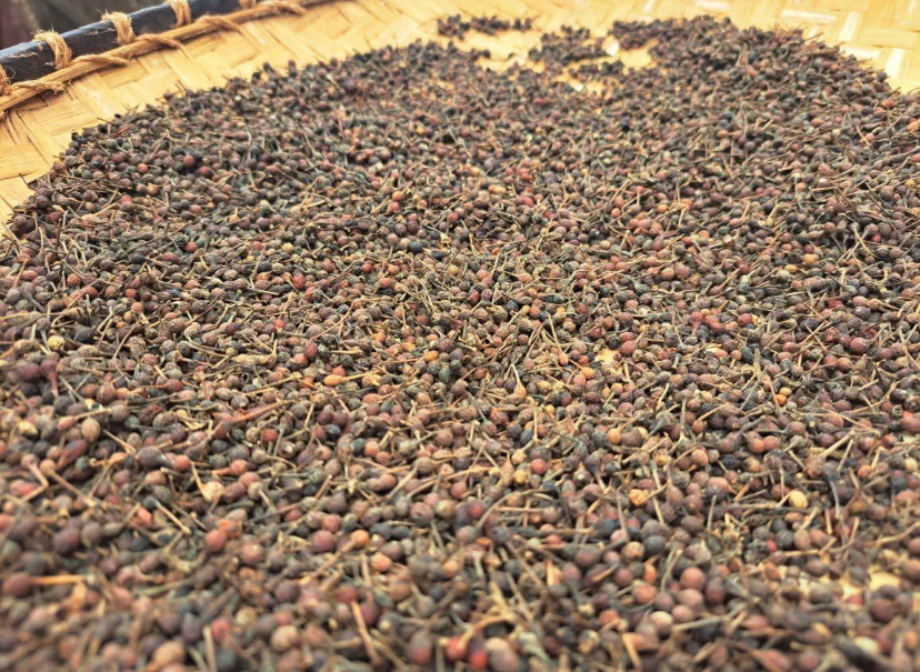 Poivre sauvage premium de Madagascar (Voatsiperifery) - 100g