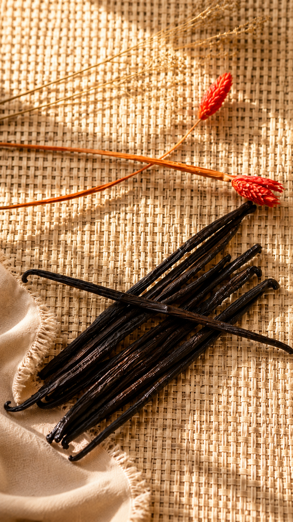 Les produits vedettes